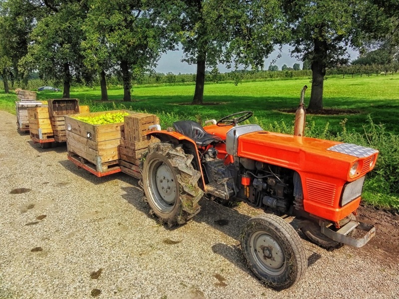 Cuves (carburant, eau)